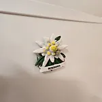 Mika Apartmán Kluž