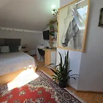 Apartment Mika Cluj-Napoca