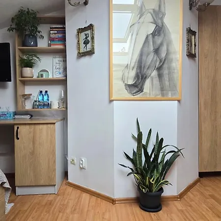 Mika Apartment *