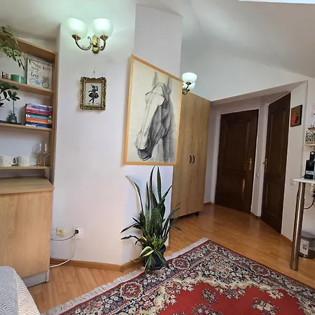 Mika Apartament Kluż-Napoka