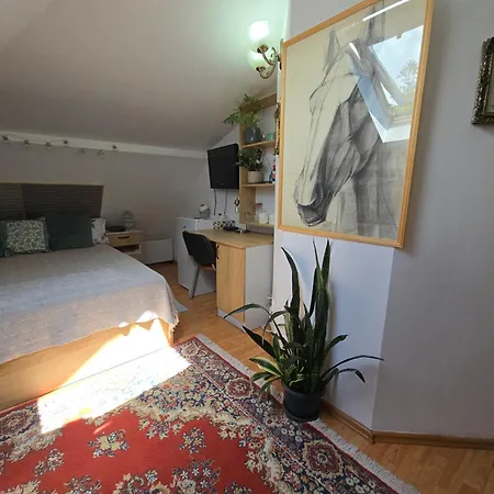 Apartament Mika Kluż-Napoka