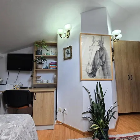 Apartamento Mika Cluj-Napoca
