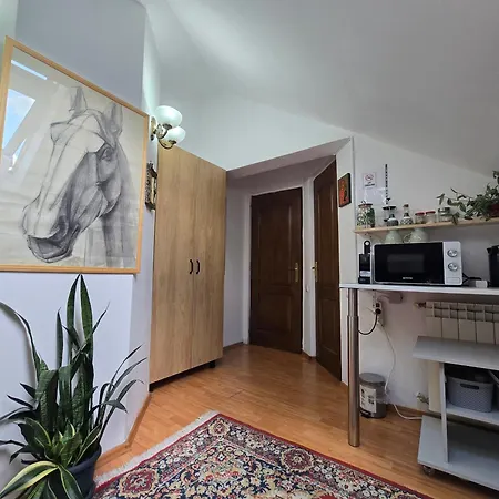 Mika Cluj-Napoca