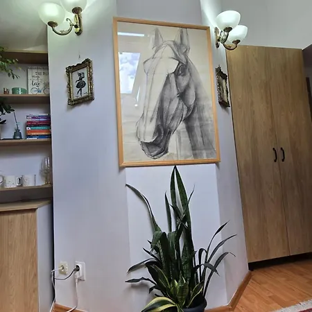 Apartament Mika