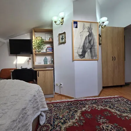 Apartamento Mika *