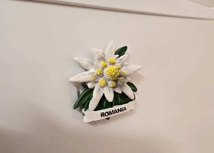 Mika Apartmán Kluž