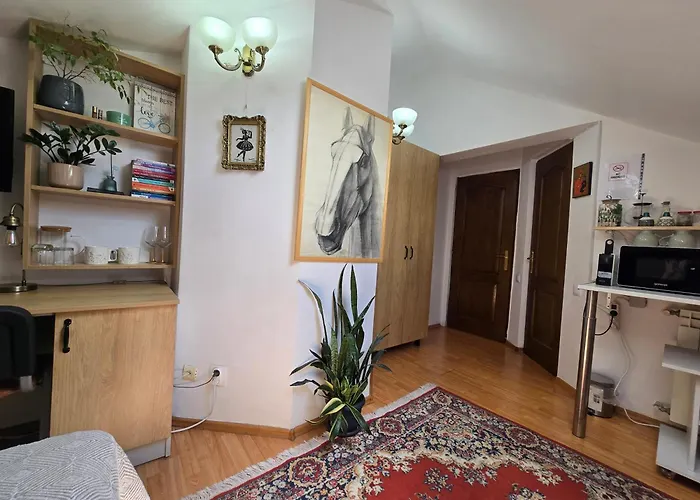 Mika Apartmán Kluž