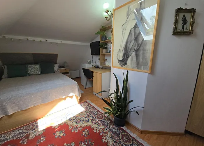 Apartmán Mika Kluž