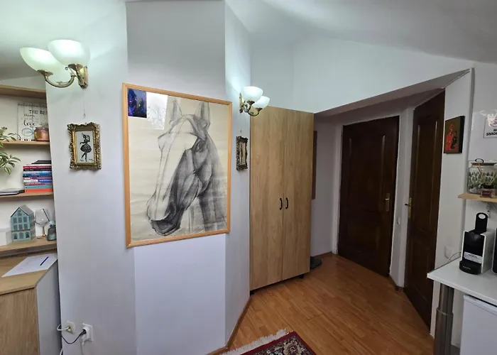 Apartmán Mika Kluž